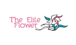 logos-clientes-ayp--elite-flowers